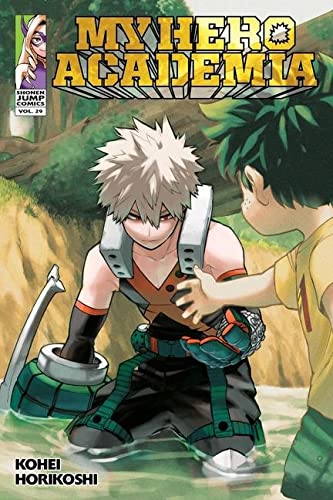 MY HERO ACADEMIA # 29