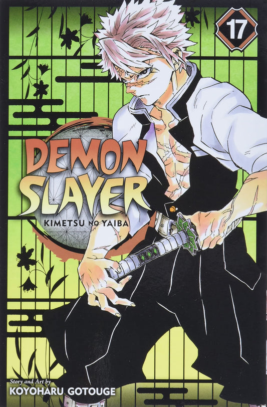DEMON SLAYER VOL 17