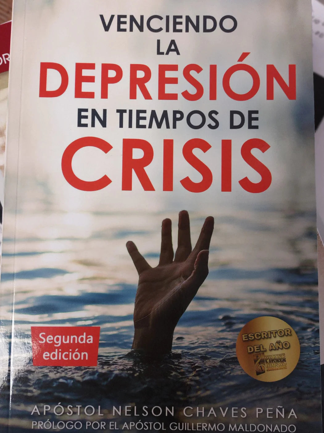 VENCIENDO LA DEPRESION EN TIEMPOS DE CRISIS